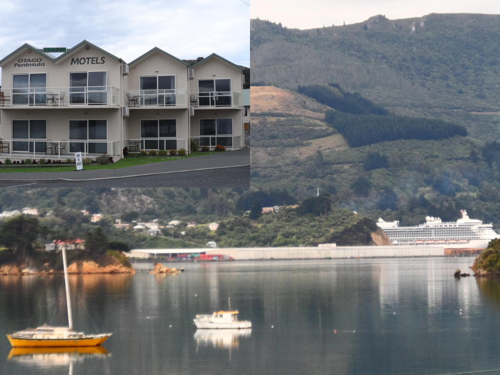 Otago Peninsula Motel Portobello 외부 사진